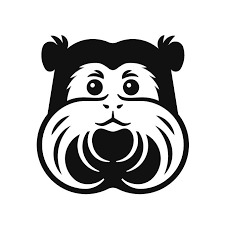 Бородатий Тамарин - фото