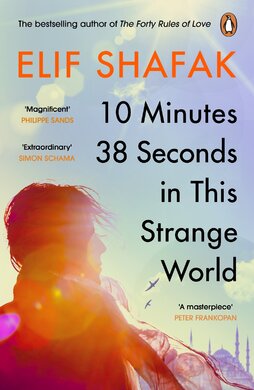 10 Minutes 38 Seconds in this Strange World - фото книги