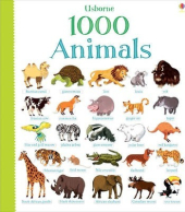 1000 Animals - фото обкладинки книги