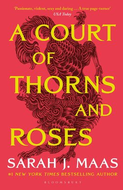 A Court of Thorns and Roses (Book 1) - фото книги