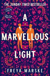 A Marvellous Light (Book 1) - фото обкладинки книги