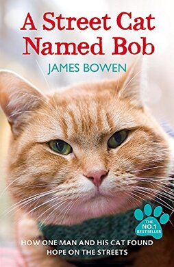 A Street Cat Named Bob: How one man and his cat found hope on the streets - фото книги
