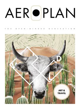 Aeroplan №39 Дикий (жовтень-листопад) - фото книги