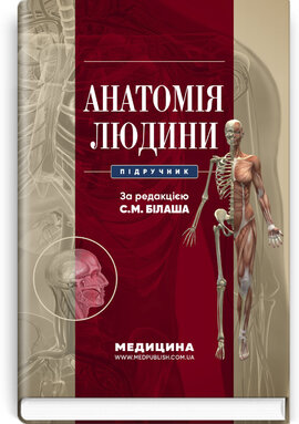 Анатомія людини - фото книги
