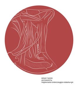 Антимність - фото книги