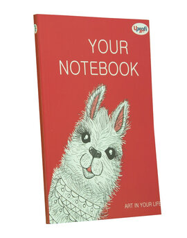 Artbook B6, rouge - фото книги