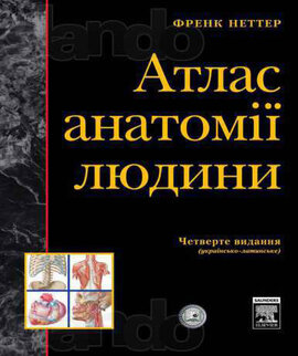 Атлас анатомії людини (золочений зріз) - фото книги