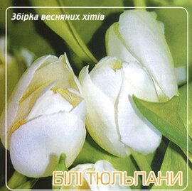 Аудіодиск "Білі тюльпани" збірка весняних хітів - фото книги
