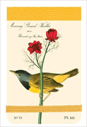 Audubon Warblers Mini Journal - фото обкладинки книги