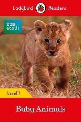 BBC Earth: Baby Animals - Ladybird Readers Level 1 - фото книги