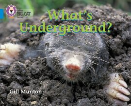 Big Cat 4 What's Underground? - фото книги