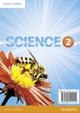 Big Science Level 2 Picture Cards (картки) - фото книги