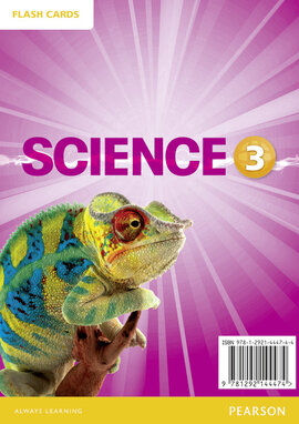 Big Science Level 3 Picture Cards (картки) - фото книги