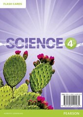 Big Science Level 4 Picture Cards (картки) - фото обкладинки книги