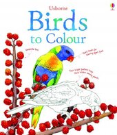 Birds to Colour - фото обкладинки книги