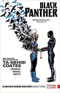 Black Panther: A Nation Under Our Feet Book 3 - фото книги