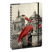 "Bohemia flamingo", А5 - фото обкладинки книги