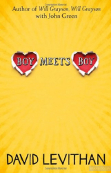 Boy Meets Boy - фото обкладинки книги