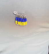 Брошка з шпилок - фото обкладинки книги