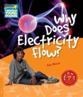 Cambridge Young Readers: Why Does Electricity Flow? Level 6 Factbook - фото обкладинки книги