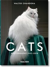 Cats: Photographs 1942-2018 - фото обкладинки книги