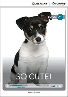 CDIR Level A1. So Cute! (Book with Online Access) - фото книги
