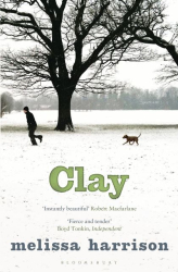 Clay - фото обкладинки книги