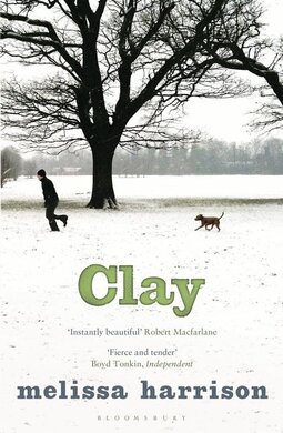 Clay - фото книги