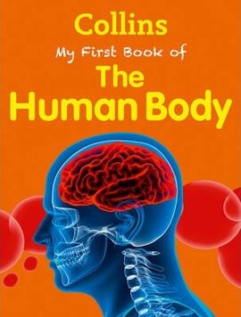 Collins My First Book Of The Human Body - фото книги