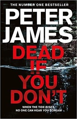 Dead If You Don't - фото книги