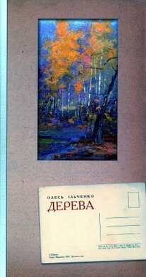 Дерева - фото книги