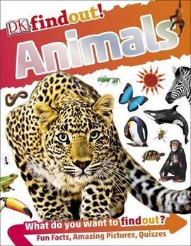 DKfindout! Animals - фото книги