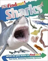 DKfindout! Sharks - фото обкладинки книги