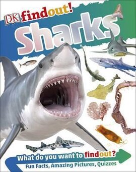DKfindout! Sharks - фото книги