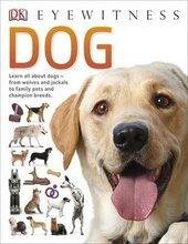 Dog - фото обкладинки книги