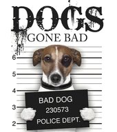 Dogs Gone Bad (Mini Gift) - фото обкладинки книги