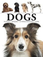 Dogs (Mini Encyclopedias) - фото обкладинки книги
