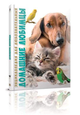 Домашні улюбленці - фото книги