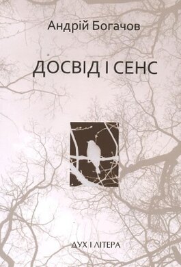 Досвід і сенс - фото книги