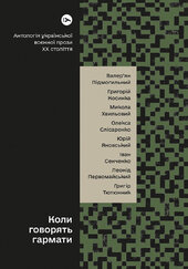 Коли говорять гармати... Антологія української воєнної прози ХХ століття - фото обкладинки книги