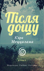 Після дощу - фото обкладинки книги