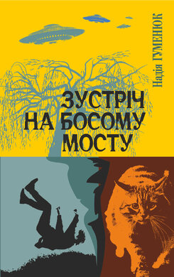 Зустріч на Босому мосту - фото книги