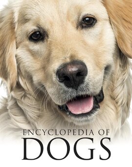 Encyclopedia of Dogs - фото книги