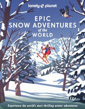 Epic Snow Adventures of the World - фото обкладинки книги