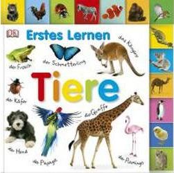 Erstes Lernen. Tiere - фото книги