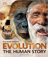 Evolution : The Human Story - фото обкладинки книги