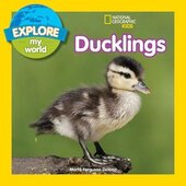 Explore My World: Ducklings - фото обкладинки книги