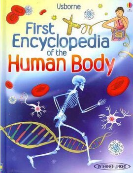 First Encyclopedia of the Human Body - фото книги