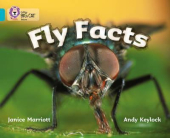 Fly Facts. Workbook - фото обкладинки книги