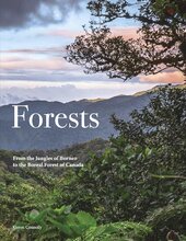 Forests (Travel) - фото обкладинки книги